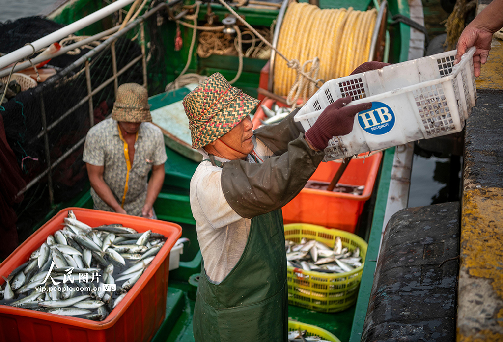 海南瓊海:休漁臨近 漁民捕撈正酣【2】