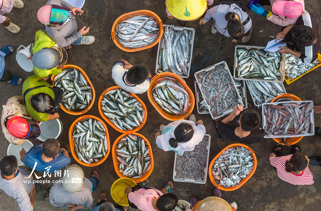 海南瓊海:休漁臨近 漁民捕撈正酣【5】