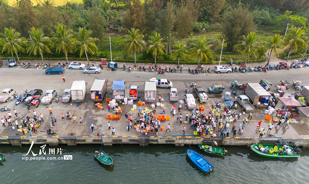 海南瓊海:休漁臨近 漁民捕撈正酣【6】