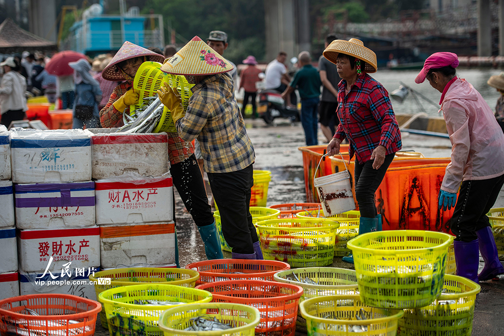 海南瓊海:休漁臨近 漁民捕撈正酣【8】