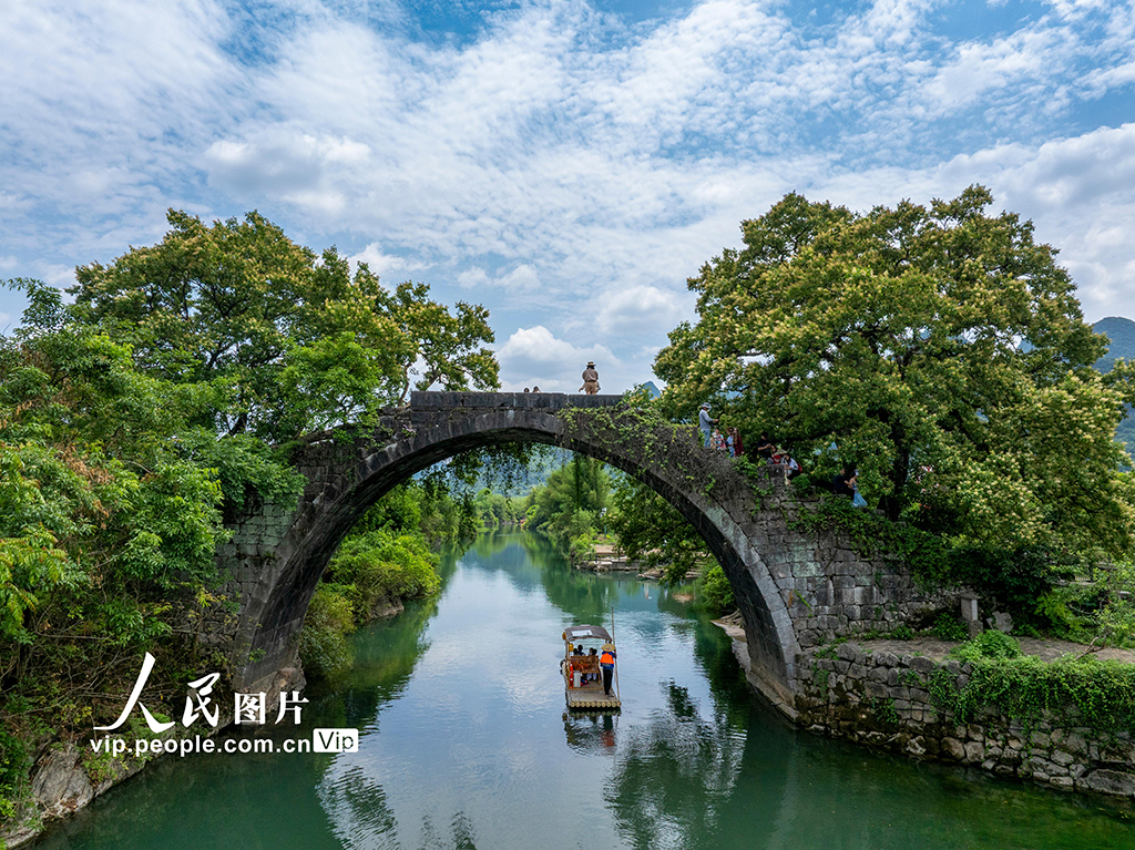 廣西陽朔:遇龍河迎客來【6】