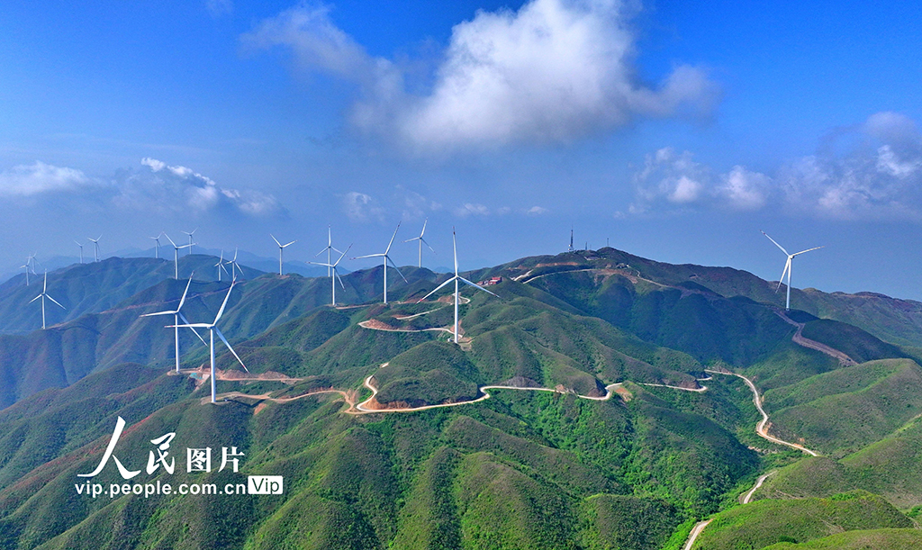 湖南桂陽:綠色生態 “風”景如畫【2】