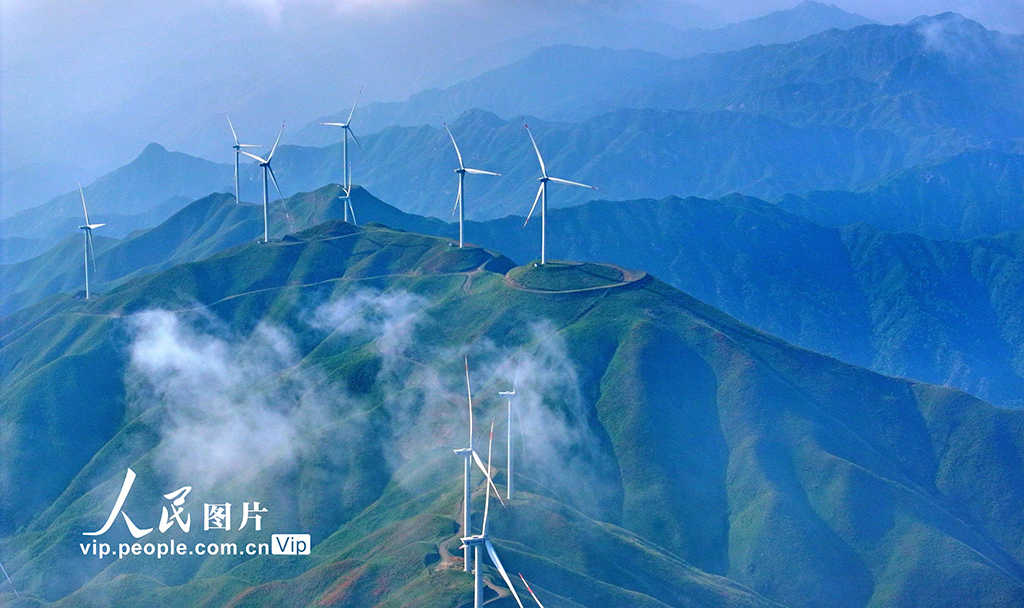 湖南桂陽:綠色生態 “風”景如畫【4】