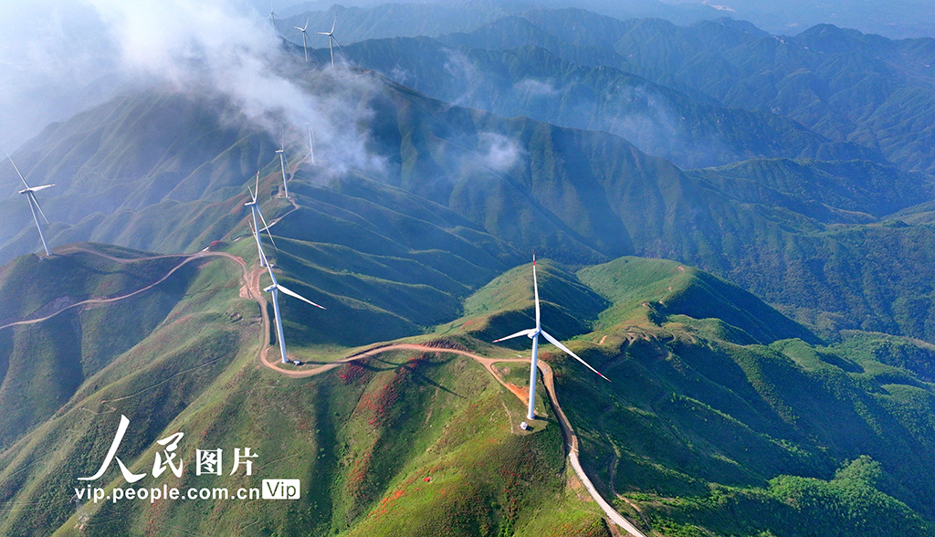 湖南桂陽:綠色生態 “風”景如畫【5】
