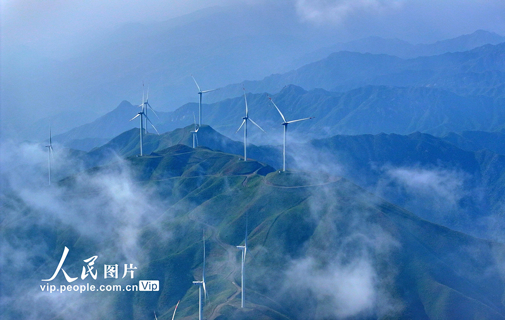 湖南桂陽:綠色生態 “風”景如畫【6】