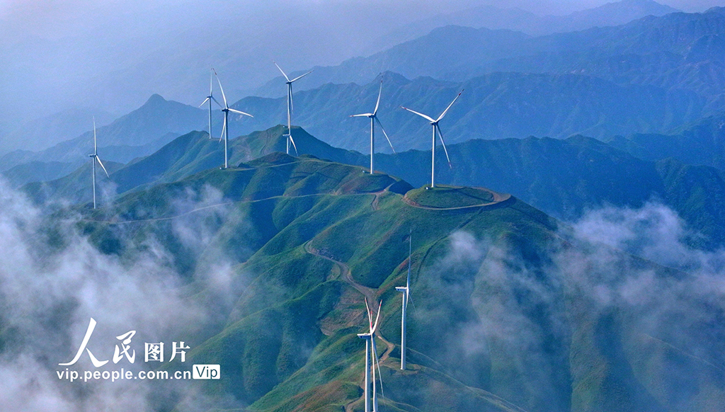 湖南桂陽:綠色生態 “風”景如畫【7】