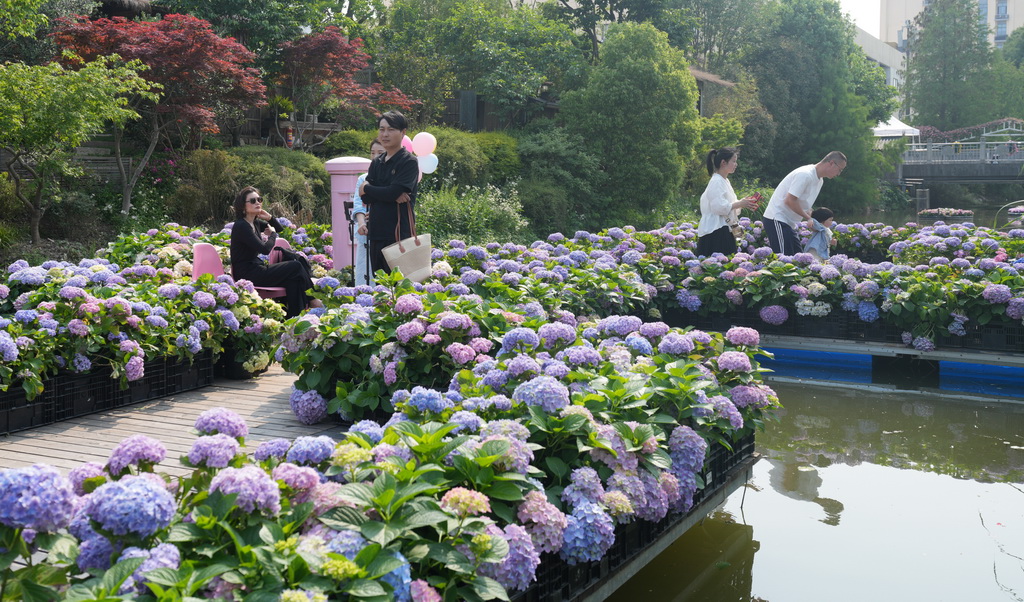 4月28日，人們在花園大會繡球展區參觀。