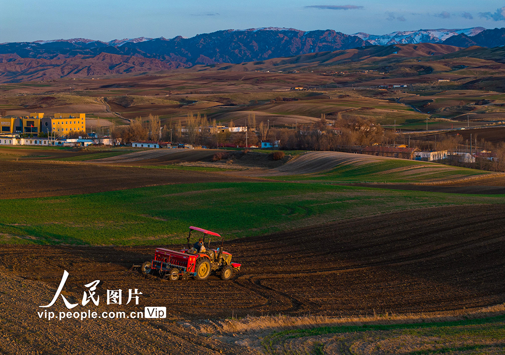 新疆木壘:田間春播忙【5】