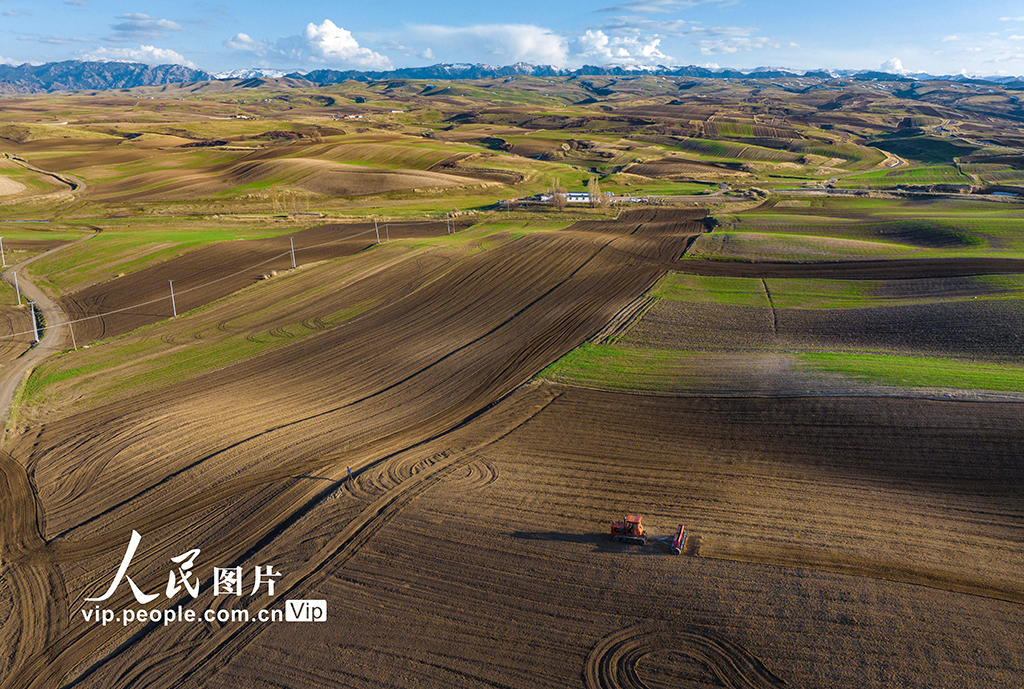 新疆木壘:田間春播忙【4】
