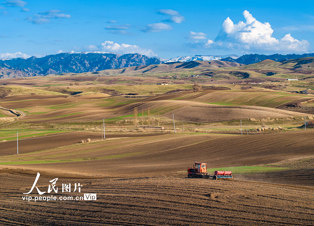 新疆木壘：田間春播忙
