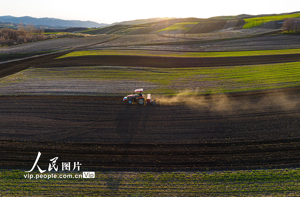 新疆木壘:田間春播忙【2】