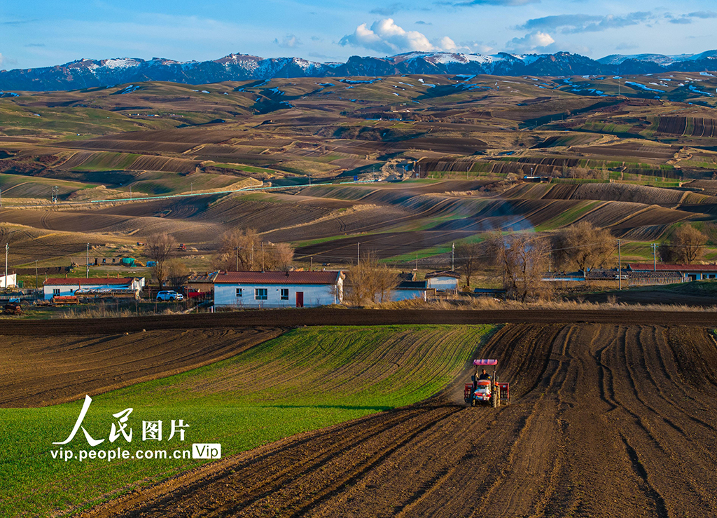 新疆木壘:田間春播忙【6】