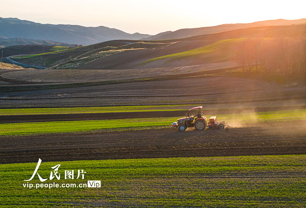 新疆木壘:田間春播忙【3】