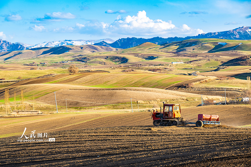 新疆木壘:田間春播忙【7】