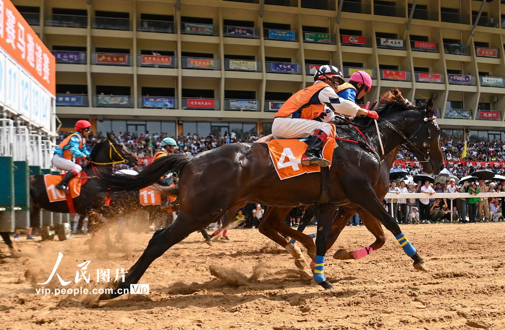 貴州三都:2025年貴州“村馬”全國賽馬邀請賽開賽【2】