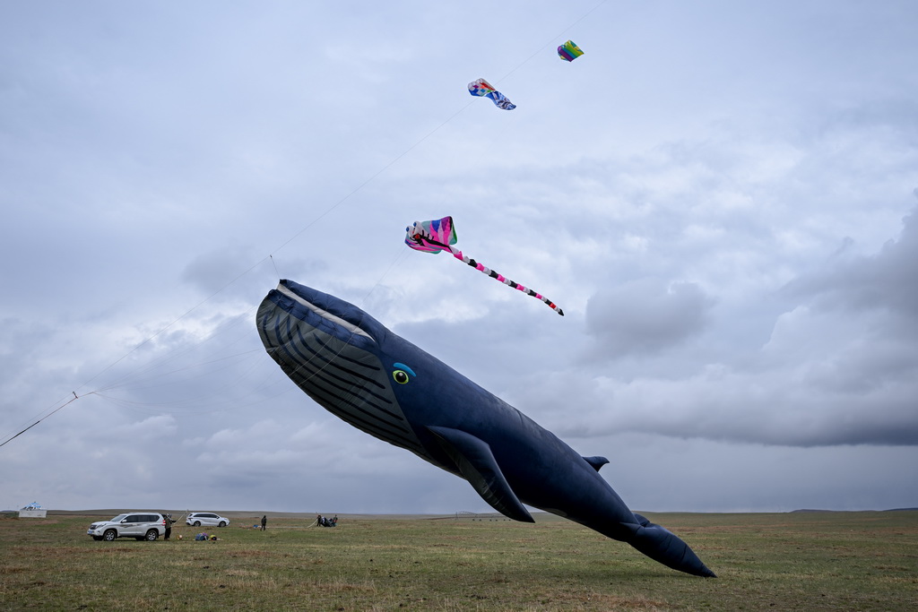 這是風箏節上放飛的風箏（5月2日攝）。