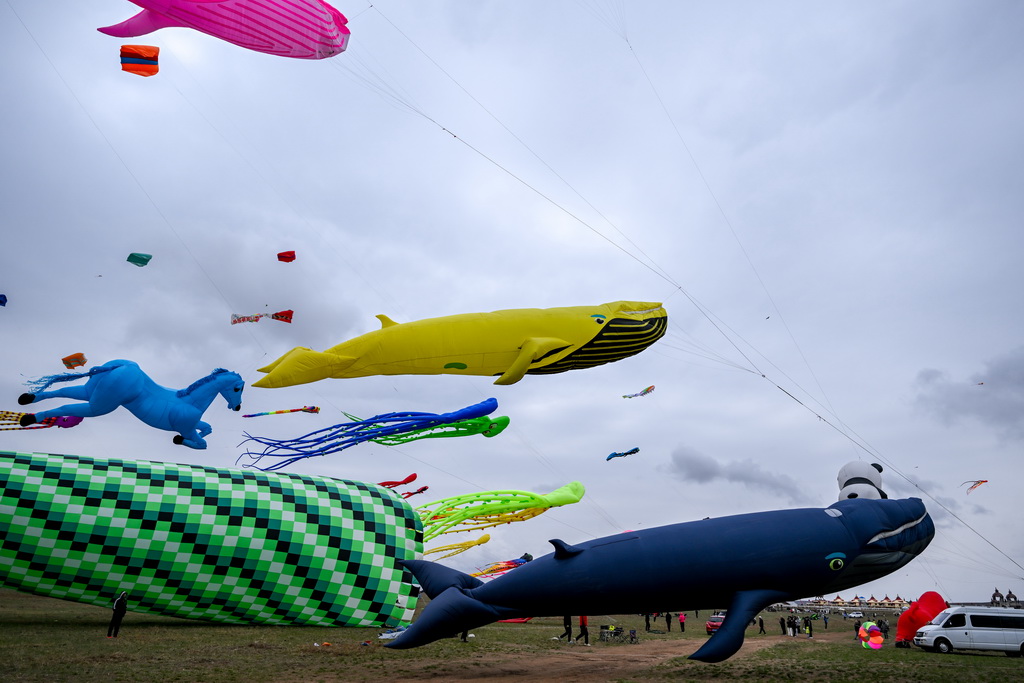 這是風箏節上放飛的風箏（5月2日攝）。