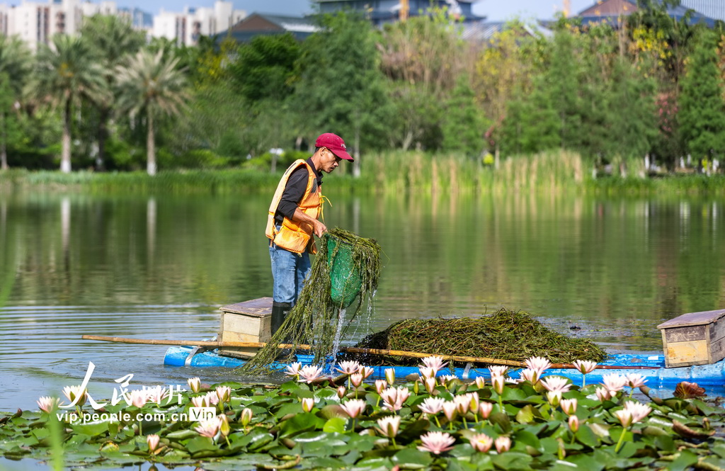 廣西賀州:守護碧水【4】