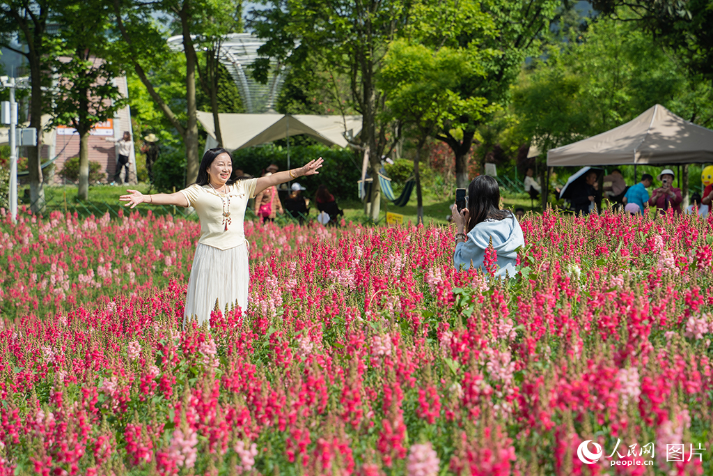 2025年5月2日，貴州省貴陽市花畫小鎮景區，游客在花海中拍攝打卡。人民網 陽茜攝