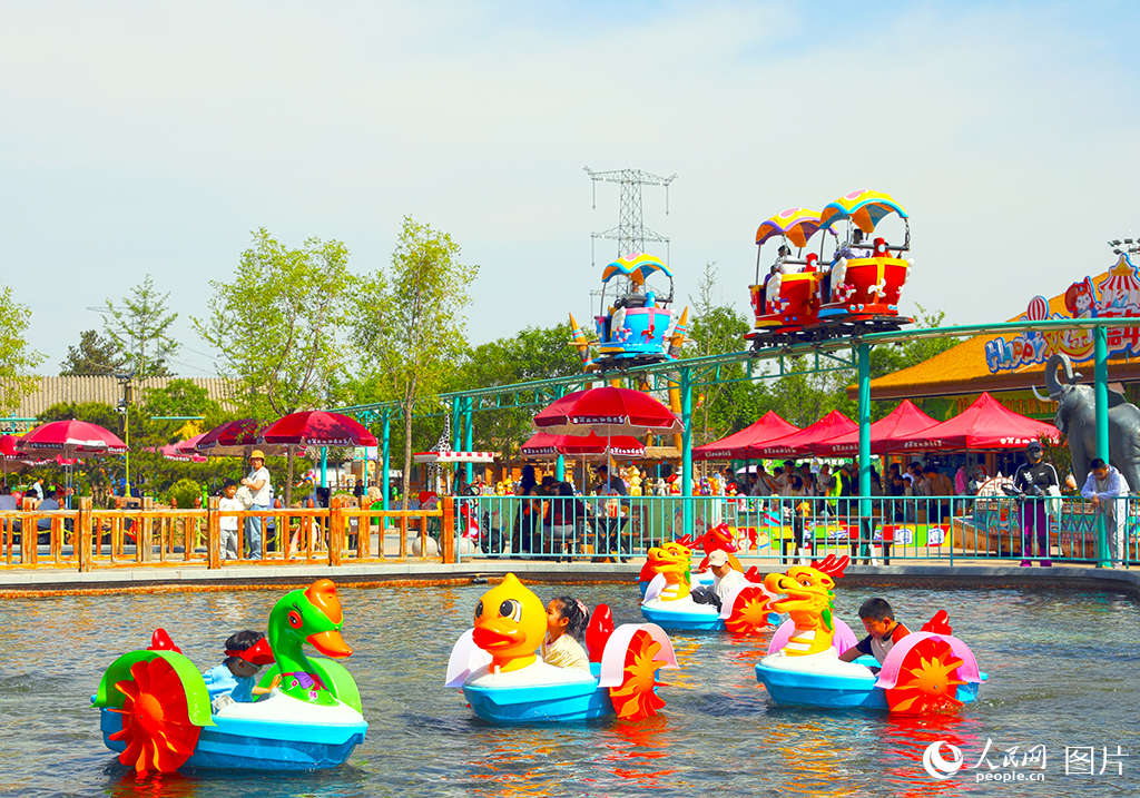 2025年5月1日，占地數百畝的雄安辛瑪動物樂園迎來家庭出游“熱潮”。人民網記者 宋燁文攝