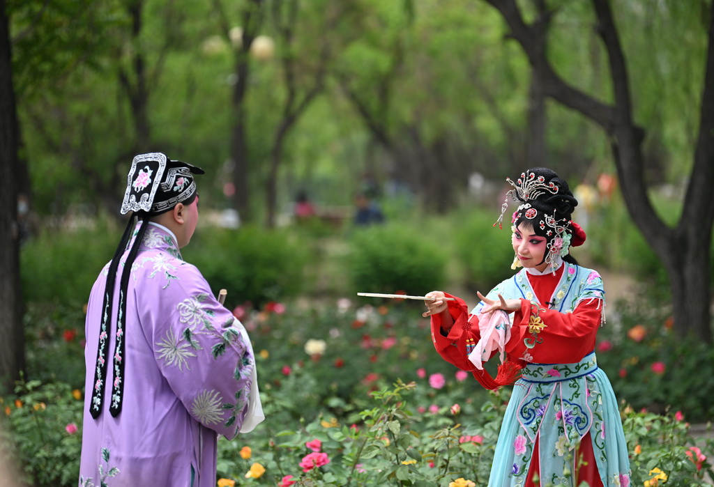 5月5日，演員在天津人民公園為觀眾表演京劇《西廂記》。