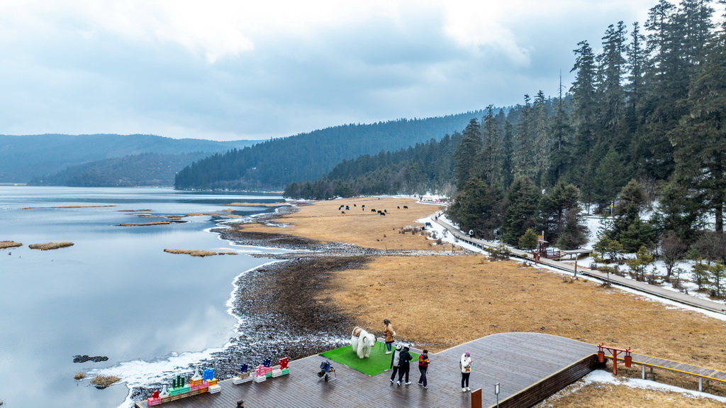 這是云南省迪慶州香格里拉市普達措景區風光（2025年3月6日，無人機照片）。