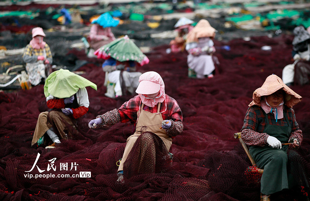 浙江溫嶺：休漁期 修補漁網【2】