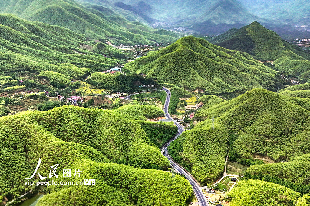 浙江安吉：初夏竹鄉綠意盎然