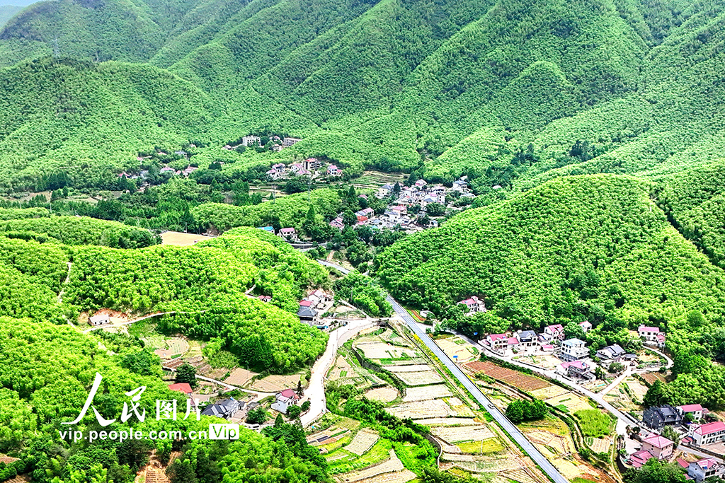 浙江安吉：初夏竹鄉綠意盎然【4】
