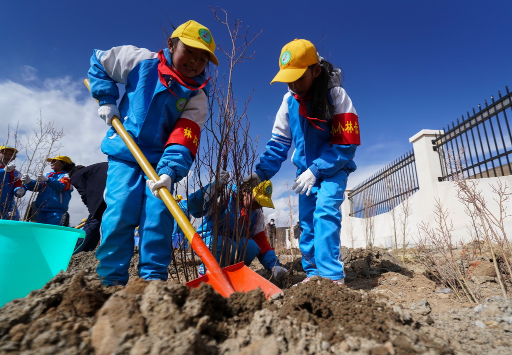 2025年4月25日，那曲市小學生在植樹。新華社記者 晉美多吉 攝