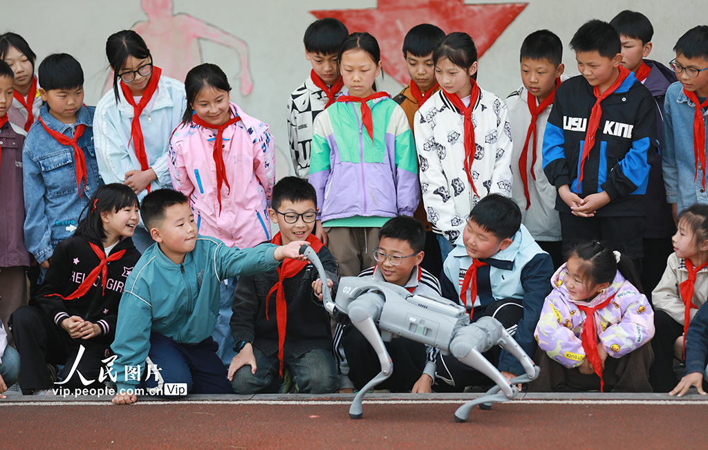 湖北巴東：智能機器狗進鄉村小學