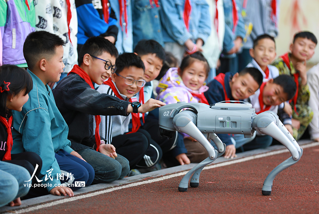 湖北巴東:智能機器狗進鄉村小學【2】