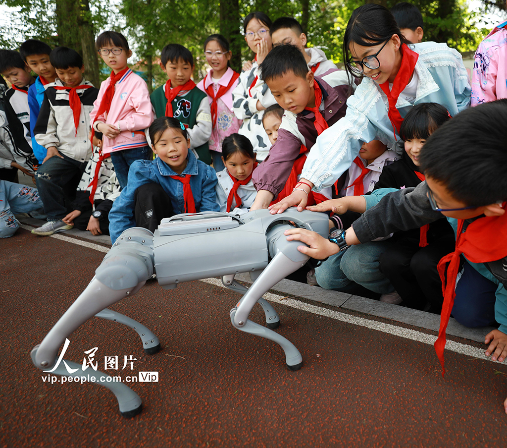 湖北巴東:智能機器狗進鄉村小學【3】