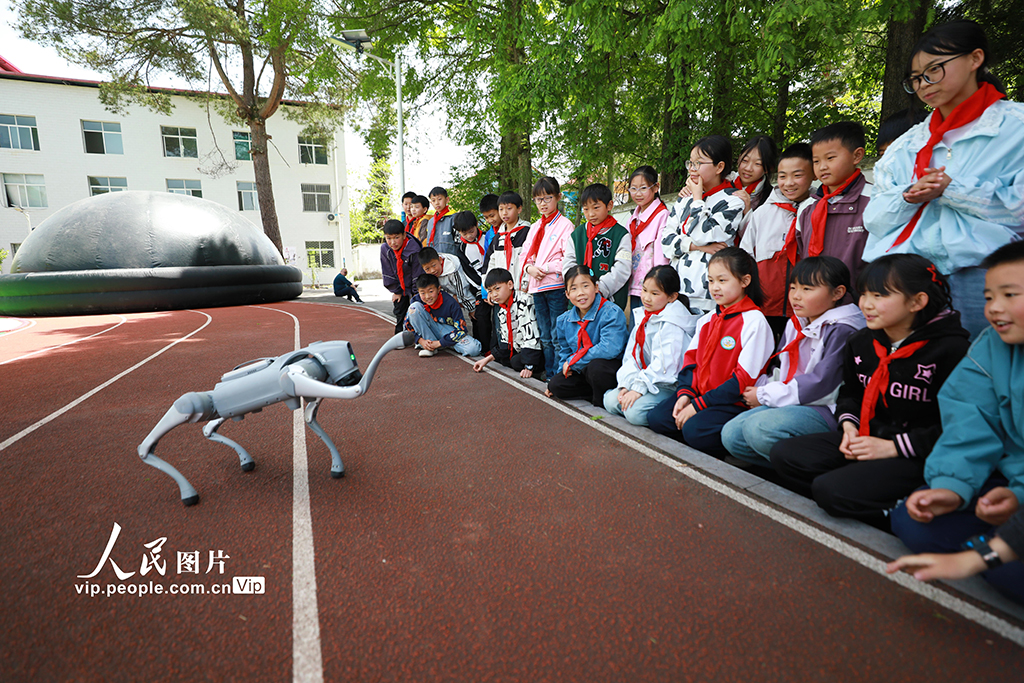 湖北巴東:智能機器狗進鄉村小學【4】