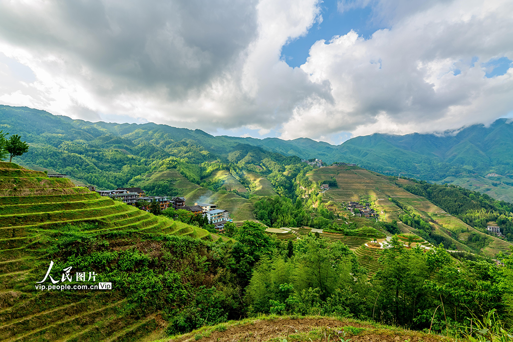 廣西龍勝:初夏時節龍脊梯田美如畫【5】