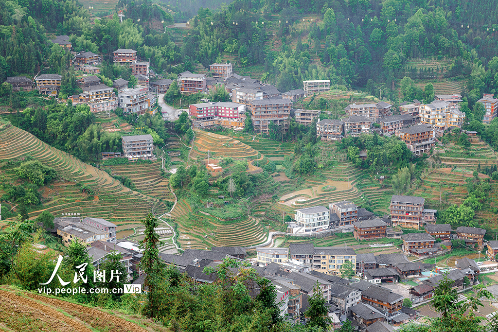 廣西龍勝:初夏時節龍脊梯田美如畫【7】