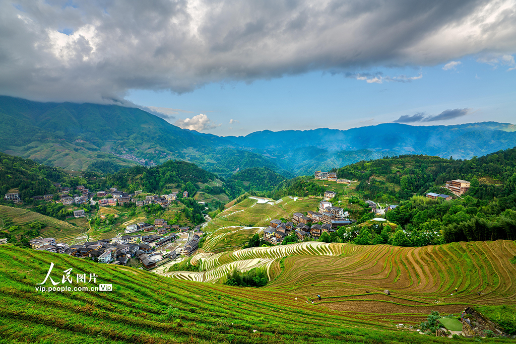 廣西龍勝:初夏時節龍脊梯田美如畫【8】