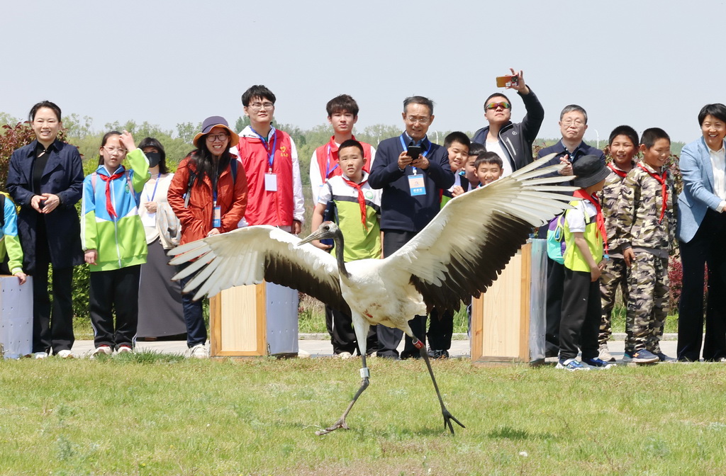 河北秦皇島：放飛野生鳥類回歸自然