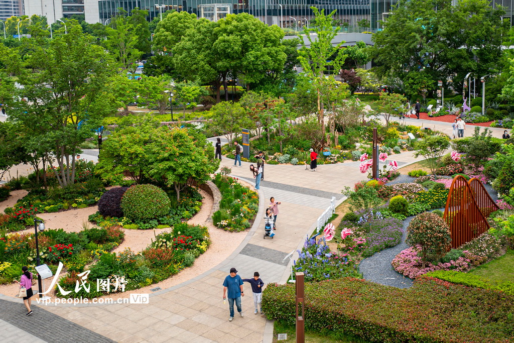 上海國際花展激發“賞花經濟”新活力【2】