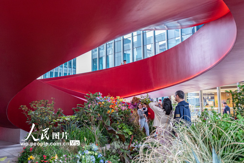 上海國際花展激發“賞花經濟”新活力【4】