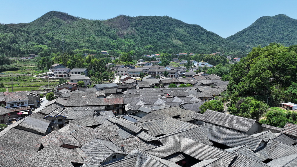 這是5月11日拍攝的張谷英村（無人機照片）。