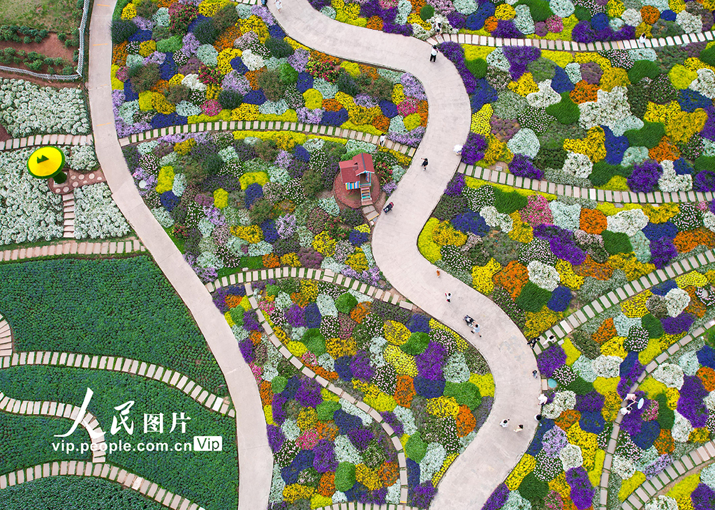 四川成都：漫步花?！?】