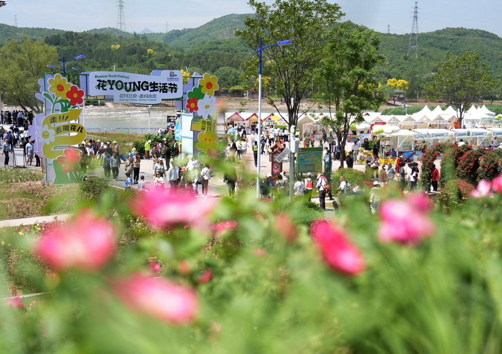 5月11日，游客在第九屆國際月季大會的“花YOUNG生活節”活動現場游玩。