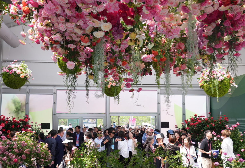 5月11日，游客在第九屆國際月季大會上參觀游覽。