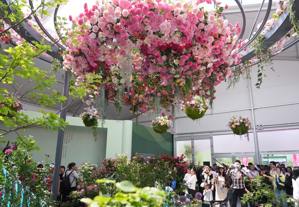 5月11日，游客在第九屆國際月季大會上參觀游覽。