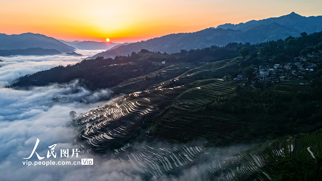 貴州從江：梯田美