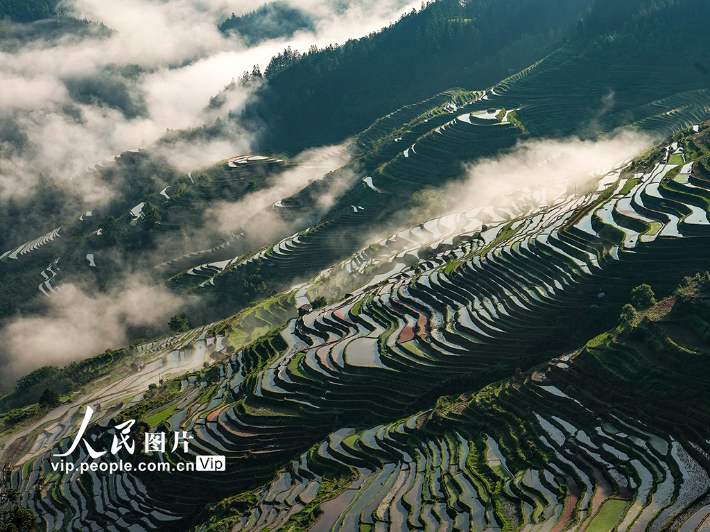 貴州從江：梯田美【5】