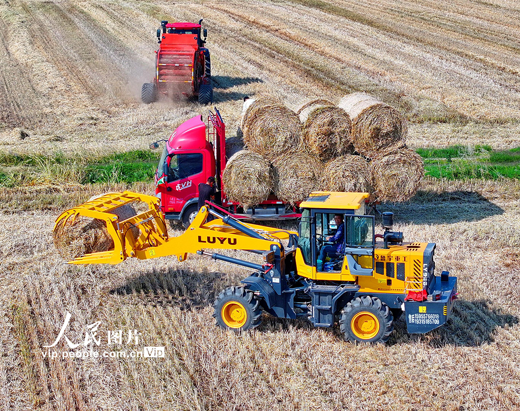 江西九江：回收秸稈 變廢為寶