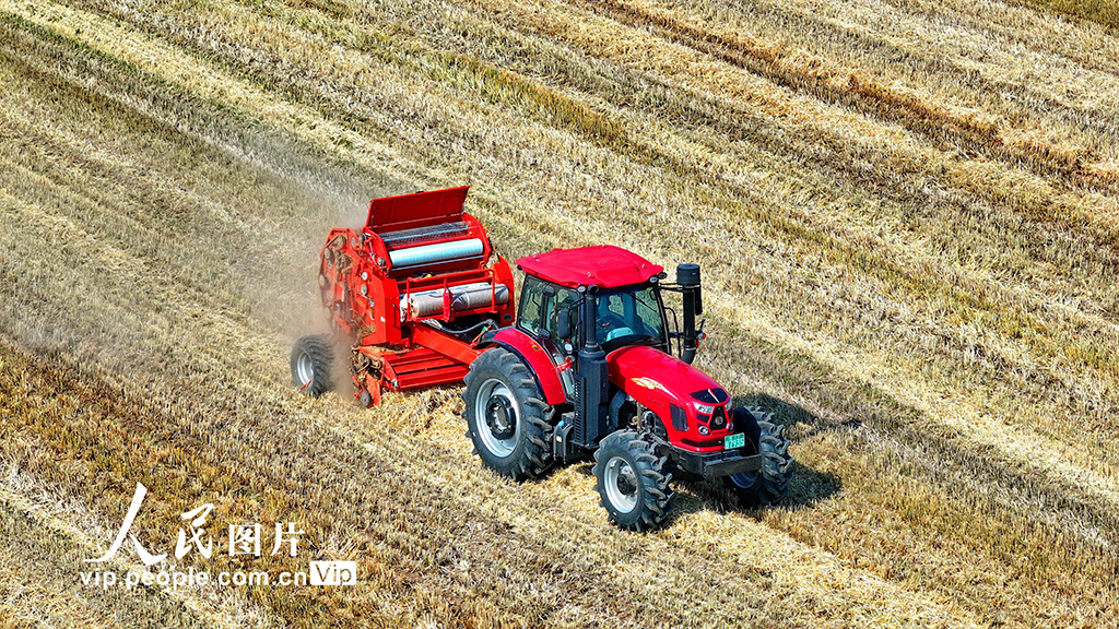 江西九江：回收秸稈 變廢為寶【4】