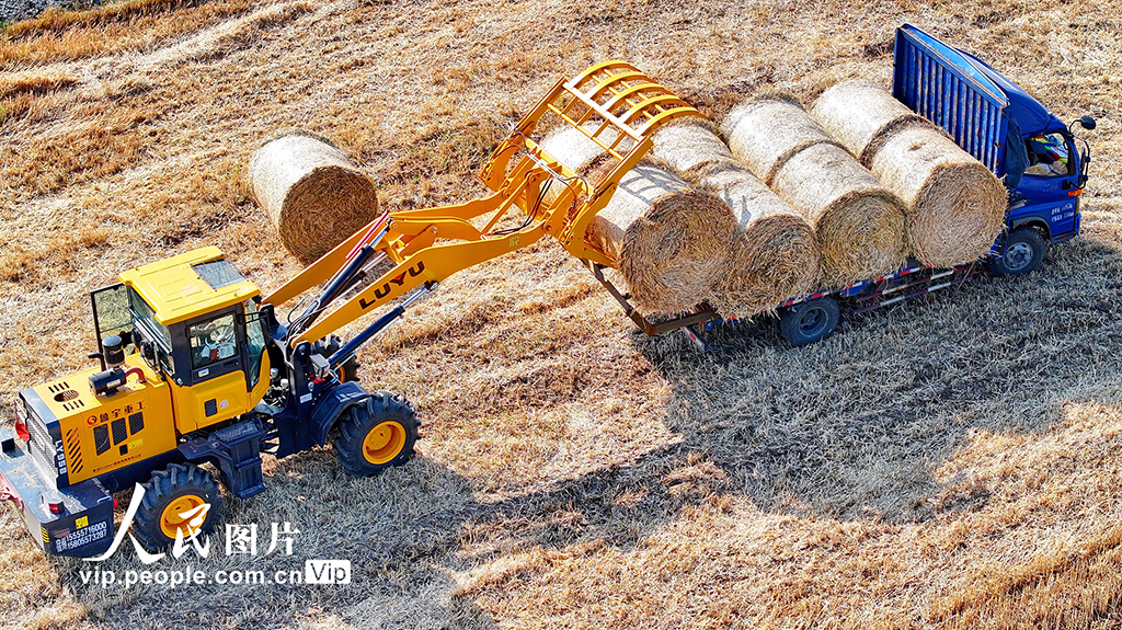 江西九江:回收秸稈 變廢為寶【2】